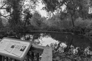 Haunted Dotties Pond in San Jose, CA