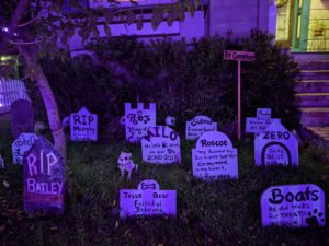 Pet cemetary at Halloween