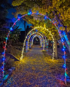 Hoops of Light - San Jose Northside Neighborhood